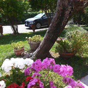 Lula Bed & Breakfast